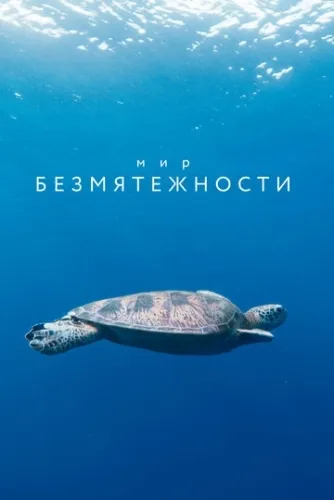 Мир безмятежности (1 сезон) смотреть в HD 1080