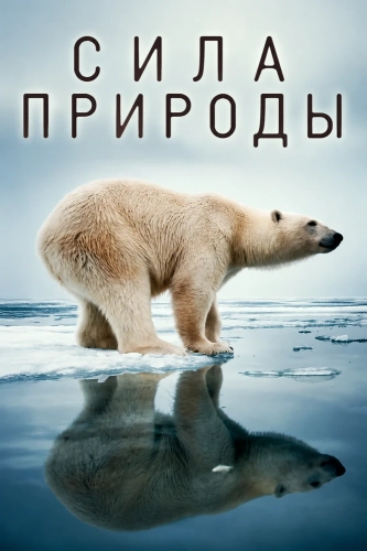 Сила природы (2026) смотреть в HD 1080